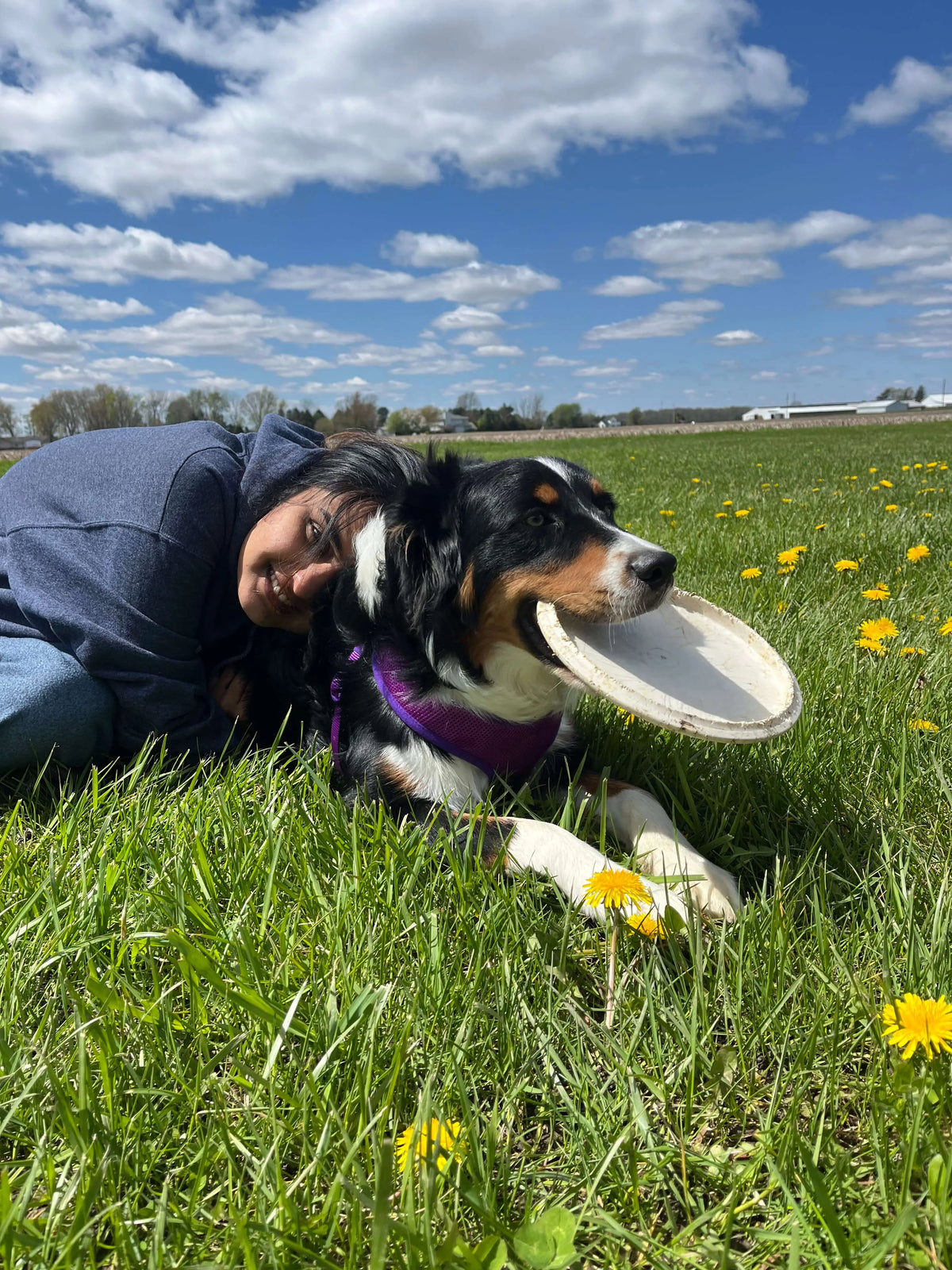 Woman resting beside a dog in a sunny field